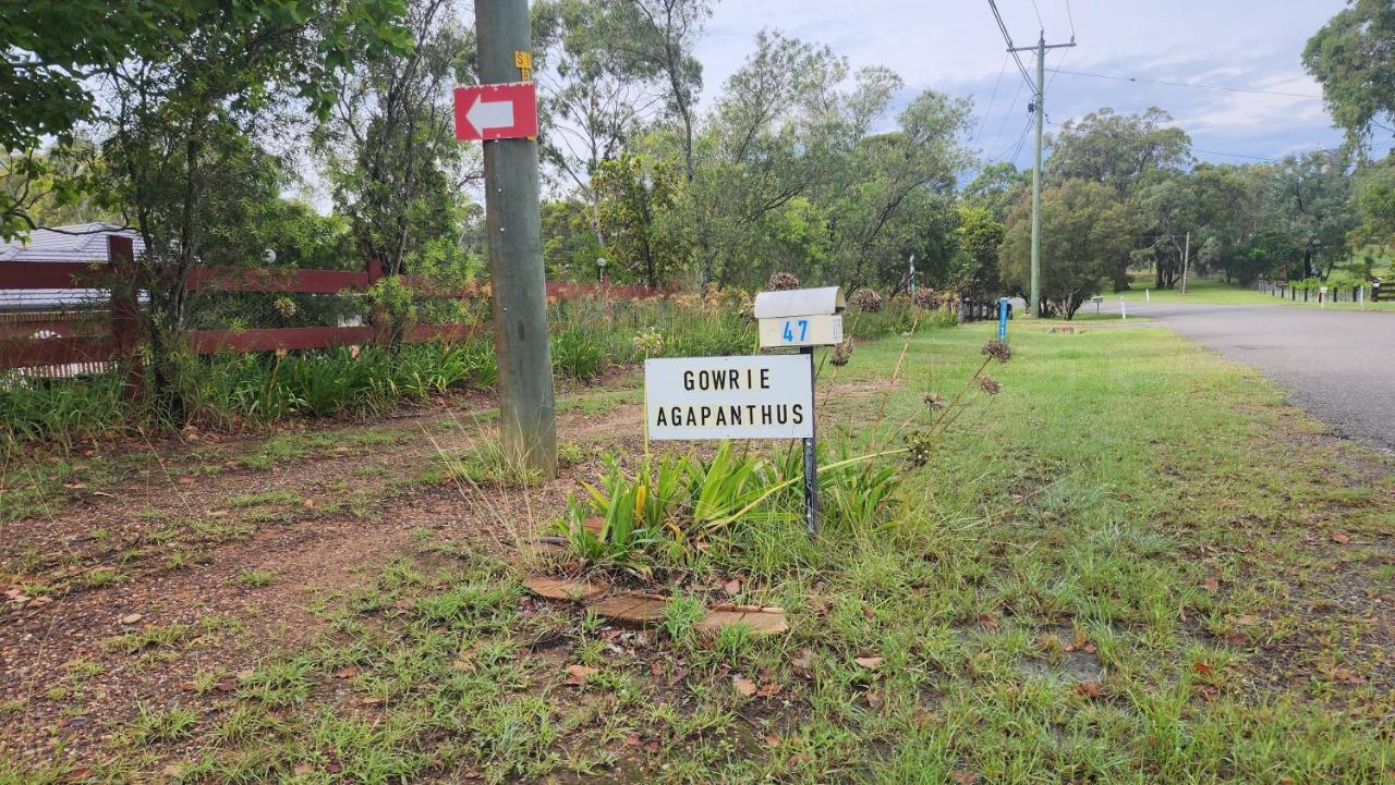 Appartamento Gowrie Agapanthus Singleton Esterno foto